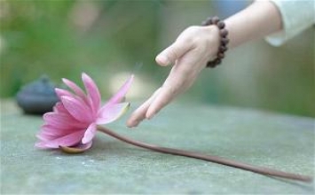 Xử lý vấn đề tình cảm trong Phật giáo
